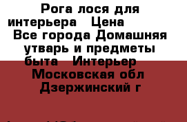 Рога лося для интерьера › Цена ­ 3 300 - Все города Домашняя утварь и предметы быта » Интерьер   . Московская обл.,Дзержинский г.